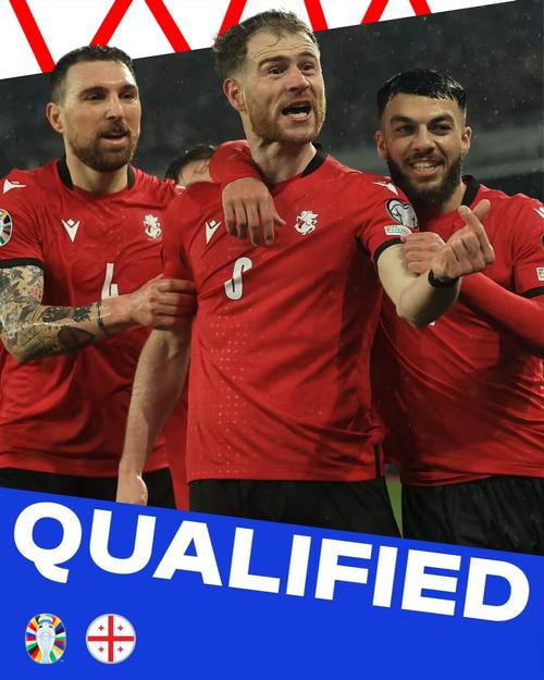 土耳其欧洲杯名单